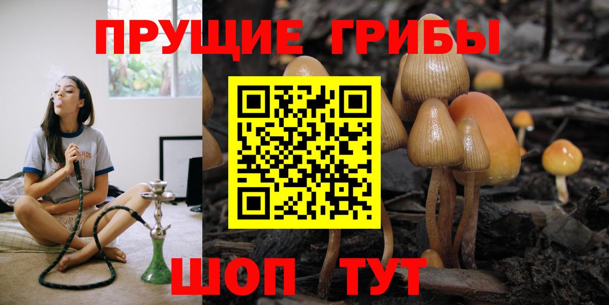 Рузаевка  Галлюциногенные грибы Magic Shrooms  Псилоцибиновые грибы MAGIC MUSHROOMS  Вход с VPN 